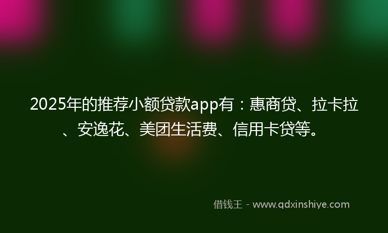 2025年的推荐小额贷款app有：惠商贷、拉卡拉、安逸花、美团生活费、信用卡贷等。
