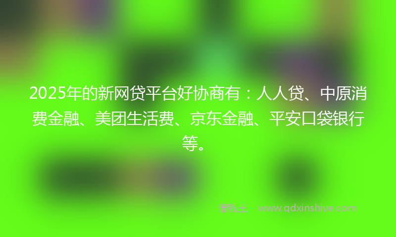 2025年的新网贷平台好协商有：人人贷、中原消费金融、美团生活费、京东金融、平安口袋银行等。