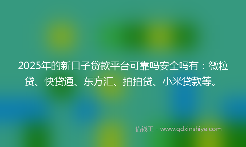 2025年的新口子贷款平台可靠吗安全吗有：微粒贷、快贷通、东方汇、拍拍贷、小米贷款等。