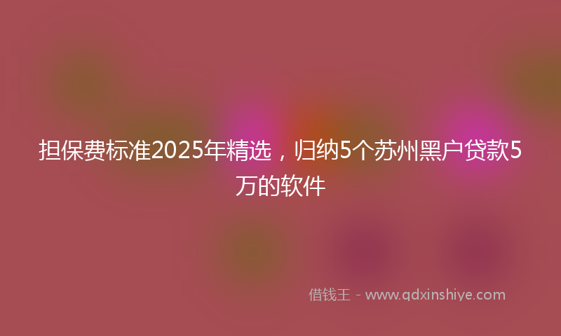 担保费标准2025年精选，归纳5个苏州黑户贷款5万的软件