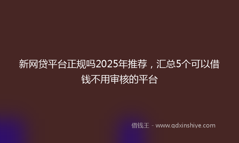 新网贷平台正规吗2025年推荐，汇总5个可以借钱不用审核的平台