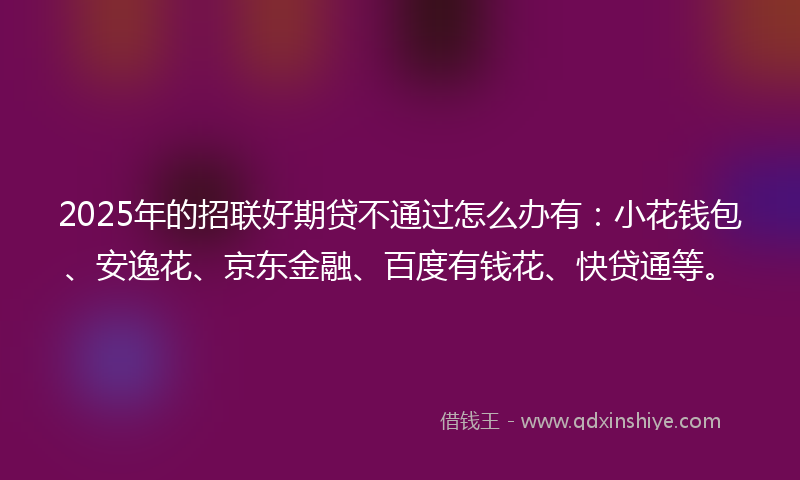 2025年的招联好期贷不通过怎么办有：小花钱包、安逸花、京东金融、百度有钱花、快贷通等。