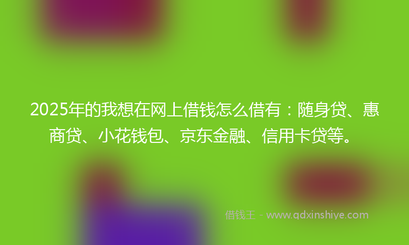 2025年的我想在网上借钱怎么借有：随身贷、惠商贷、小花钱包、京东金融、信用卡贷等。