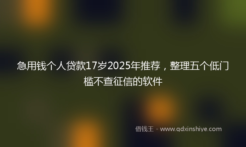 急用钱个人贷款17岁2025年推荐，整理五个低门槛不查征信的软件