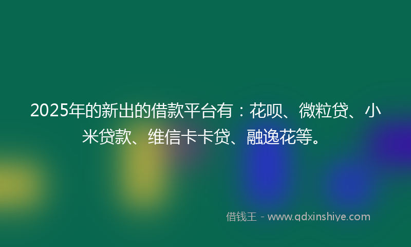 2025年的新出的借款平台有：花呗、微粒贷、小米贷款、维信卡卡贷、融逸花等。