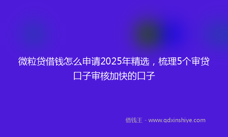 微粒贷借钱怎么申请2025年精选，梳理5个审贷口子审核加快的口子