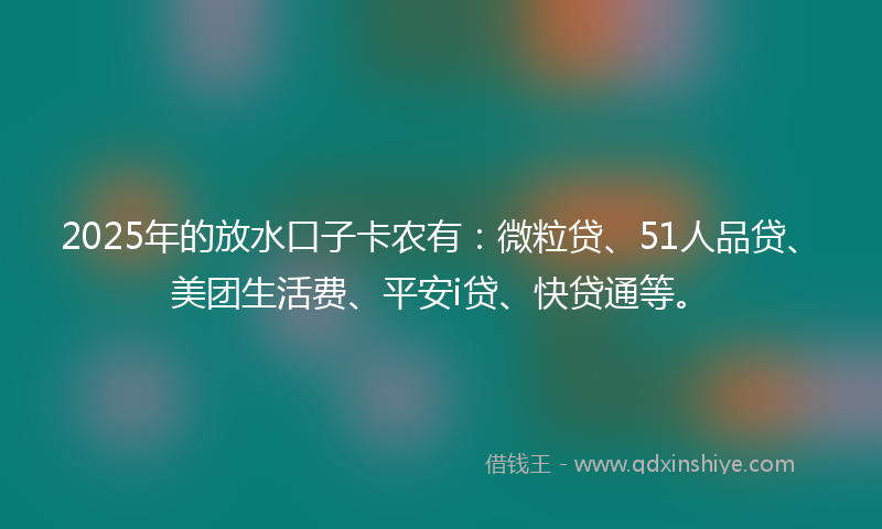 2025年的放水口子卡农有：微粒贷、51人品贷、美团生活费、平安i贷、快贷通等。