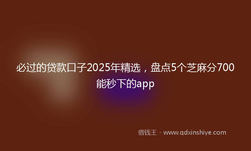 必过的贷款口子2025年精选，盘点5个芝麻分700能秒下的app