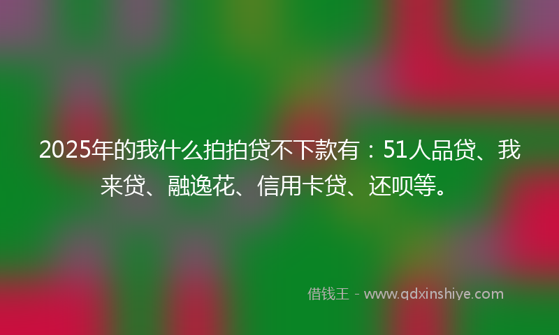 2025年的我什么拍拍贷不下款有：51人品贷、我来贷、融逸花、信用卡贷、还呗等。