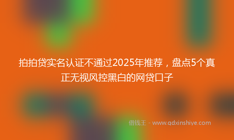 拍拍贷实名认证不通过2025年推荐，盘点5个真正无视风控黑白的网贷口子