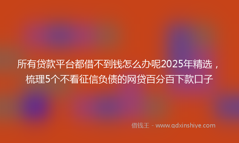 所有贷款平台都借不到钱怎么办呢2025年精选，梳理5个不看征信负债的网贷百分百下款口子