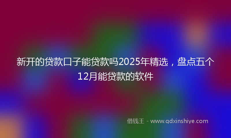 新开的贷款口子能贷款吗2025年精选，盘点五个12月能贷款的软件