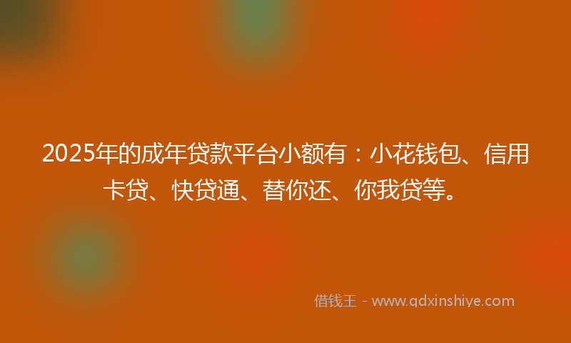 2025年的成年贷款平台小额有：小花钱包、信用卡贷、快贷通、替你还、你我贷等。