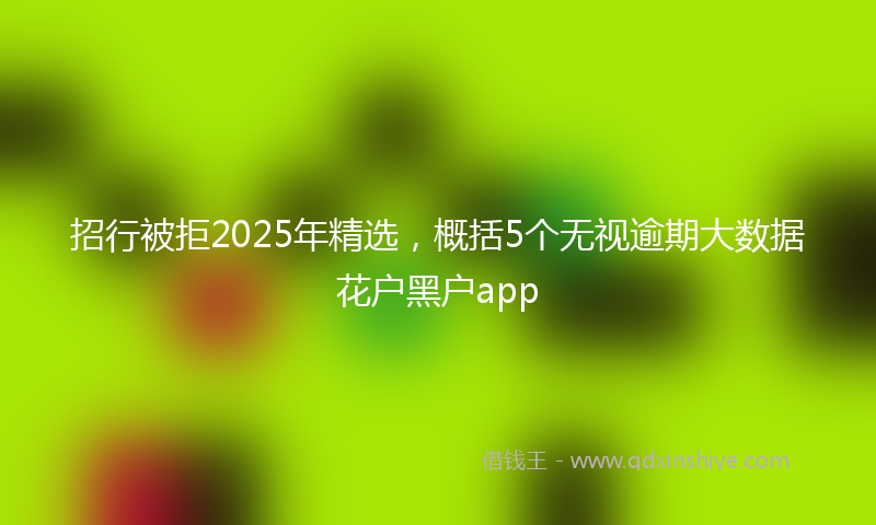 招行被拒2025年精选，概括5个无视逾期大数据花户黑户app