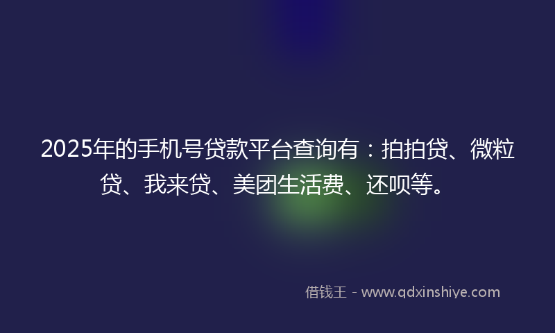 2025年的手机号贷款平台查询有：拍拍贷、微粒贷、我来贷、美团生活费、还呗等。