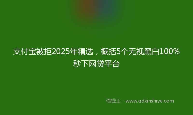 支付宝被拒2025年精选，概括5个无视黑白100%秒下网贷平台