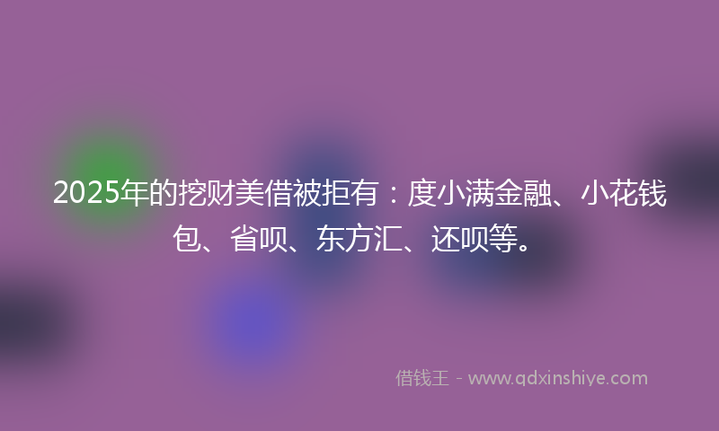 2025年的挖财美借被拒有：度小满金融、小花钱包、省呗、东方汇、还呗等。