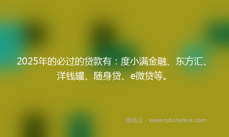 2025年的必过的贷款有：度小满金融、东方汇、洋钱罐、随身贷、e微贷等。
