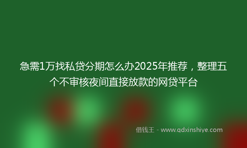 急需1万找私贷分期怎么办2025年推荐，整理五个不审核夜间直接放款的网贷平台