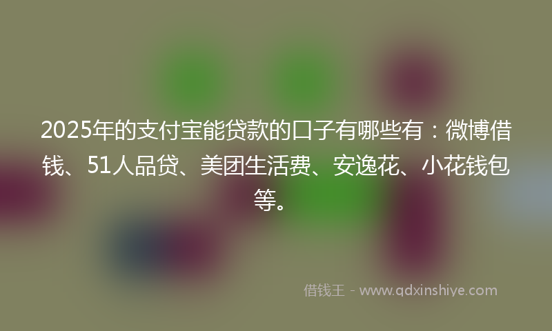 2025年的支付宝能贷款的口子有哪些有：微博借钱、51人品贷、美团生活费、安逸花、小花钱包等。