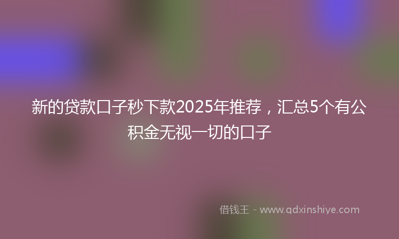 新的贷款口子秒下款2025年推荐，汇总5个有公积金无视一切的口子