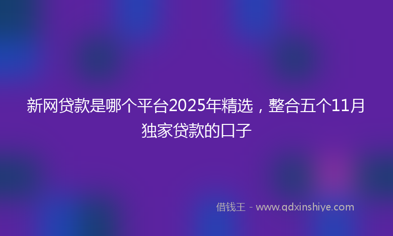 新网贷款是哪个平台2025年精选，整合五个11月独家贷款的口子