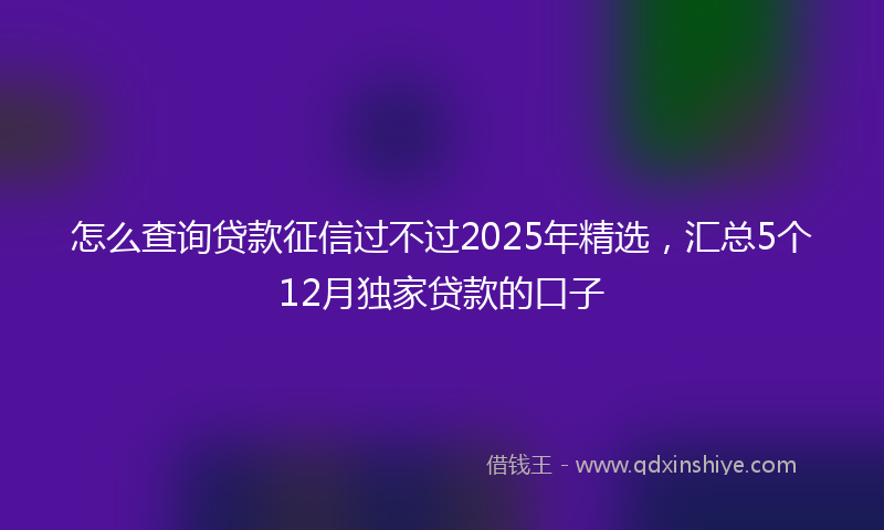 怎么查询贷款征信过不过2025年精选，汇总5个12月独家贷款的口子