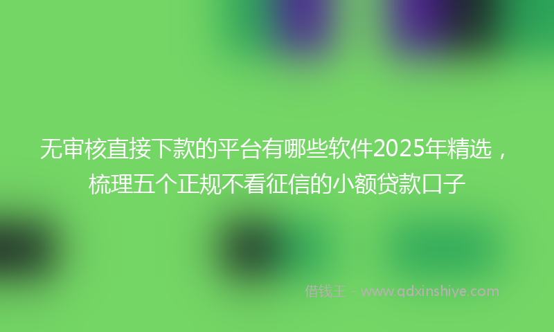 无审核直接下款的平台有哪些软件2025年精选，梳理五个正规不看征信的小额贷款口子