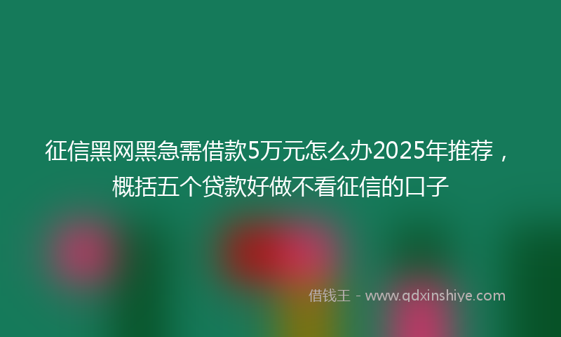 征信黑网黑急需借款5万元怎么办2025年推荐，概括五个贷款好做不看征信的口子