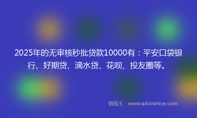 2025年的无审核秒批贷款10000有：平安口袋银行、好期贷、滴水贷、花呗、投友圈等。