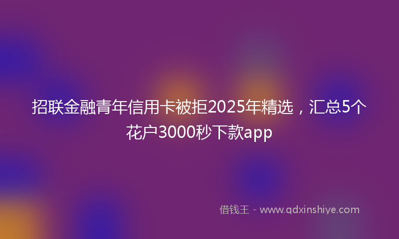招联金融青年信用卡被拒2025年精选，汇总5个花户3000秒下款app