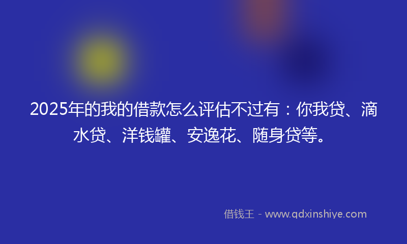 2025年的我的借款怎么评估不过有：你我贷、滴水贷、洋钱罐、安逸花、随身贷等。