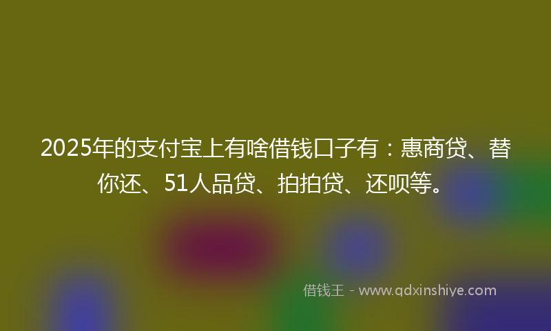 2025年的支付宝上有啥借钱口子有：惠商贷、替你还、51人品贷、拍拍贷、还呗等。