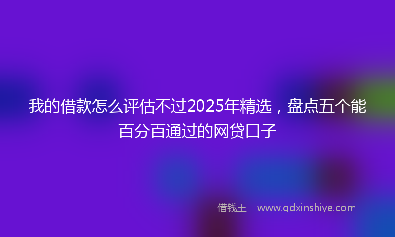 我的借款怎么评估不过2025年精选，盘点五个能百分百通过的网贷口子