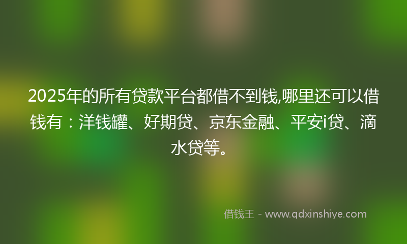 2025年的所有贷款平台都借不到钱,哪里还可以借钱有：洋钱罐、好期贷、京东金融、平安i贷、滴水贷等。