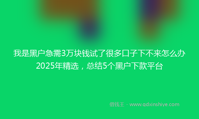 我是黑户急需3万块钱试了很多口子下不来怎么办2025年精选，总结5个黑户下款平台