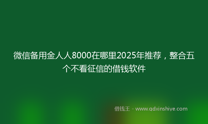 微信备用金人人8000在哪里2025年推荐，整合五个不看征信的借钱软件
