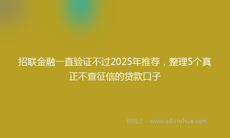 招联金融一直验证不过2025年推荐，整理5个真正不查征信的贷款口子
