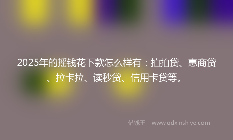 2025年的摇钱花下款怎么样有：拍拍贷、惠商贷、拉卡拉、读秒贷、信用卡贷等。