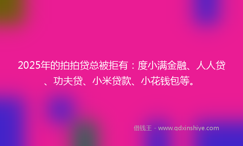 2025年的拍拍贷总被拒有：度小满金融、人人贷、功夫贷、小米贷款、小花钱包等。