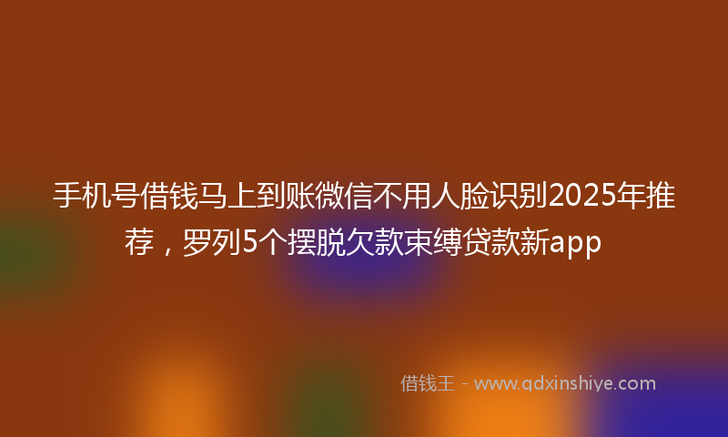 手机号借钱马上到账微信不用人脸识别2025年推荐，罗列5个摆脱欠款束缚贷款新app