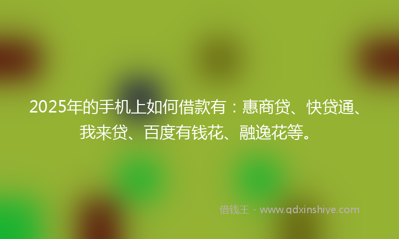 2025年的手机上如何借款有：惠商贷、快贷通、我来贷、百度有钱花、融逸花等。