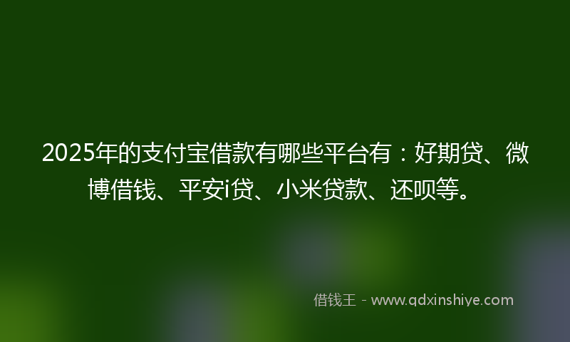 2025年的支付宝借款有哪些平台有：好期贷、微博借钱、平安i贷、小米贷款、还呗等。