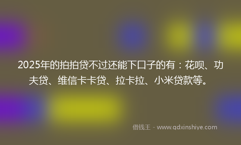 2025年的拍拍贷不过还能下口子的有：花呗、功夫贷、维信卡卡贷、拉卡拉、小米贷款等。