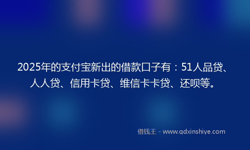 2025年的支付宝新出的借款口子有：51人品贷、人人贷、信用卡贷、维信卡卡贷、还呗等。