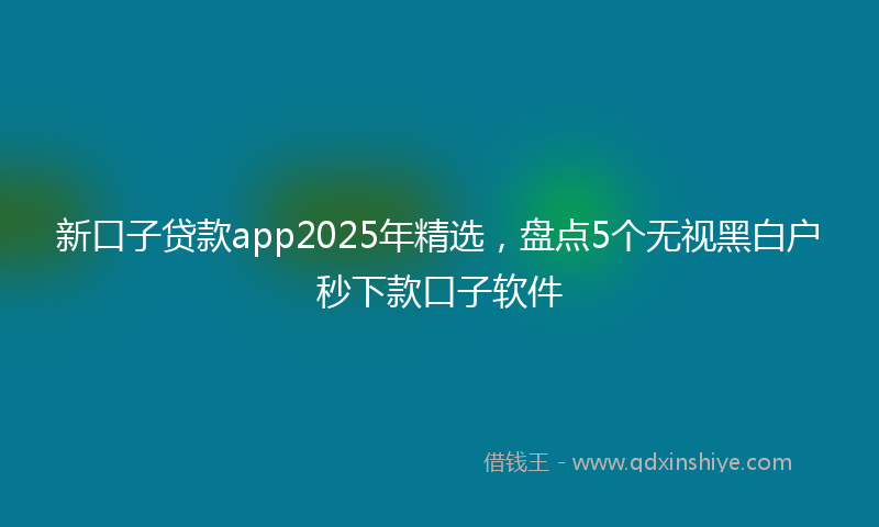 新口子贷款app2025年精选，盘点5个无视黑白户秒下款口子软件