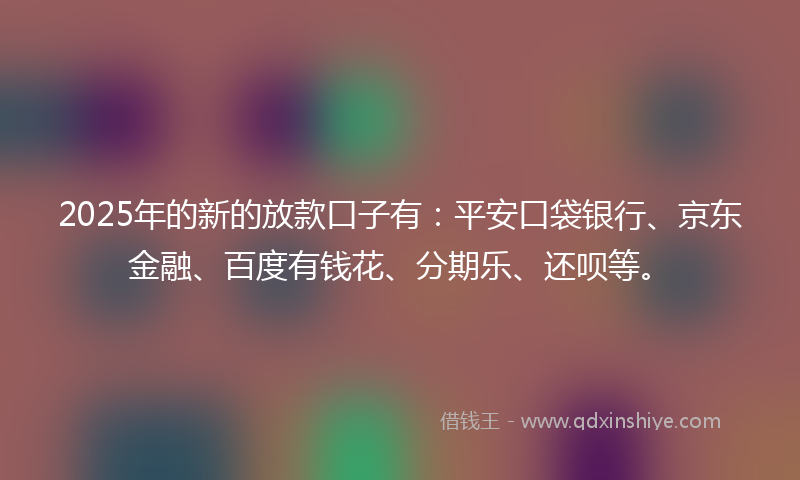 2025年的新的放款口子有：平安口袋银行、京东金融、百度有钱花、分期乐、还呗等。