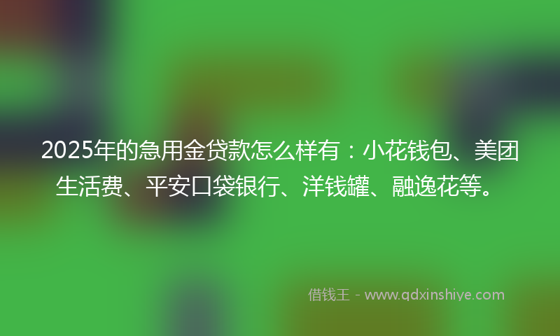 2025年的急用金贷款怎么样有：小花钱包、美团生活费、平安口袋银行、洋钱罐、融逸花等。