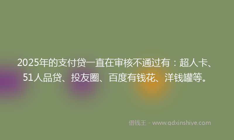 2025年的支付贷一直在审核不通过有：超人卡、51人品贷、投友圈、百度有钱花、洋钱罐等。
