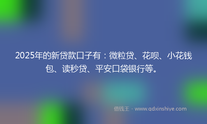 2025年的新贷款口子有：微粒贷、花呗、小花钱包、读秒贷、平安口袋银行等。